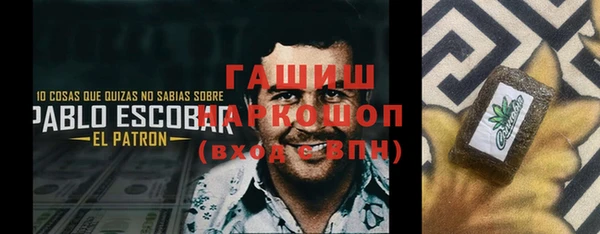 прущие грибы Белокуриха
