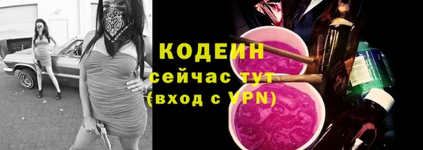 прущие грибы Белокуриха