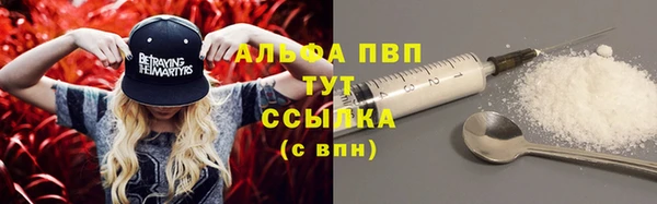 прущие грибы Белокуриха