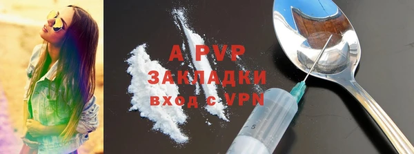 прущие грибы Белокуриха