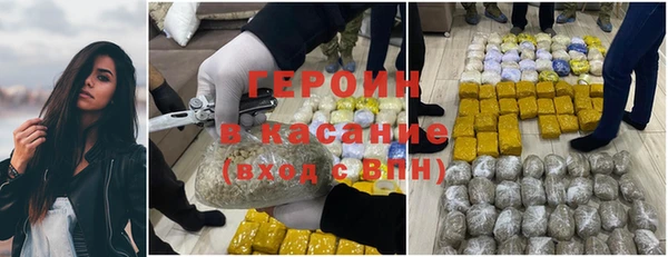 прущие грибы Белокуриха