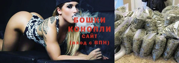прущие грибы Белокуриха