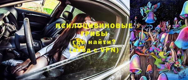 прущие грибы Белокуриха