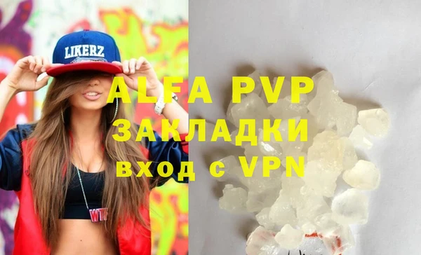 прущие грибы Белокуриха