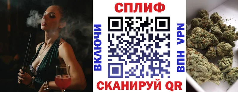 наркошоп Обь Конопля SATIVA & INDICA